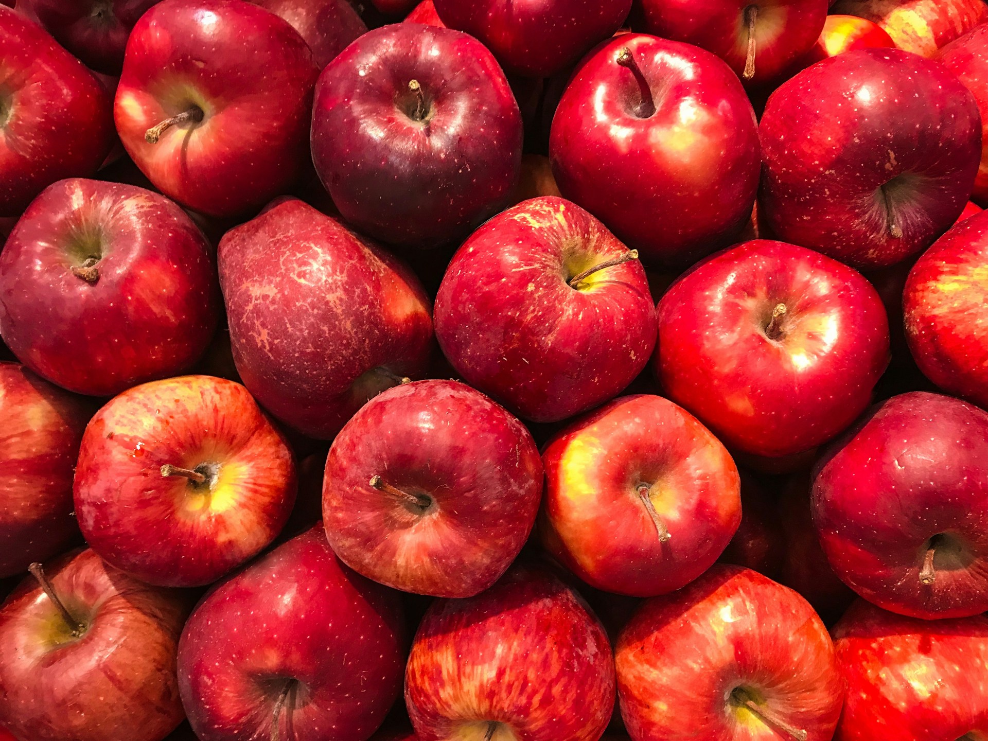how to keep apples fresh for months