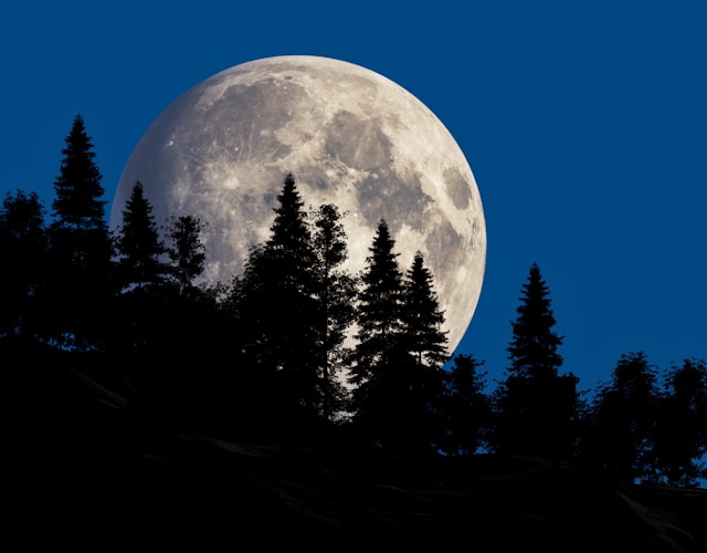 Plants grow better before full moon July 2025